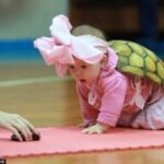 南宫旗下PG的品牌忠诚度与用户粘性分析 8g13wpvb