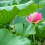 南宫28的未来发展规划与愿景 8xd5ra4i96