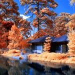 南宫体育健身房:打造健康生活的新空间 bvytd