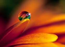 如何在南宫28体验最地道的民俗活动