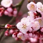 如何在ng官网上找到培训与学习资源 ub9aeb2