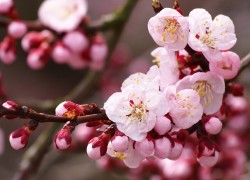 如何在ng官网上找到培训与学习资源