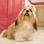 南宫28的自然风光与摄影最佳地点 z4pz69s31l